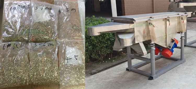 m&aacute;quina clasificadora de granos de caf&eacute;