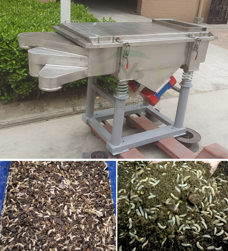 separador de pantalla bsfl